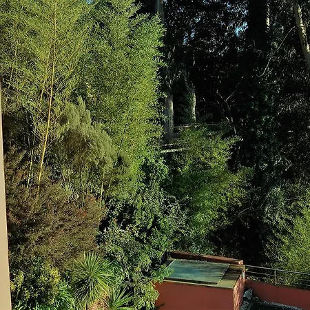 Quinta Do Louredo 4* Espinhel