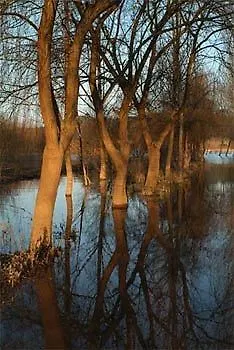 Quinta Do Louredo Hotell 4*